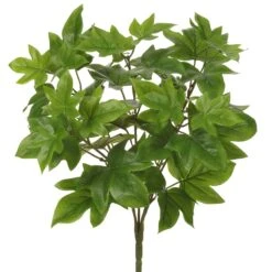 15″ Grape Ivy BusH X 5 Green