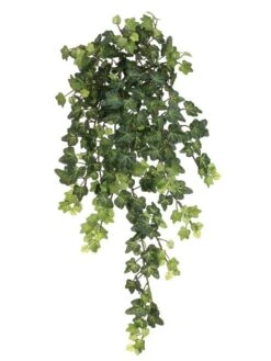 22.5″ Lace Ivy Hanging Bush x13 With 303 Leaves Green