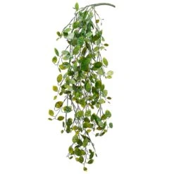 30″ Lunaria Hanging Bush Green