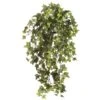 23″ Mini English Ivy Hanging Bush Frosted Green