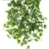 19″ UV Protected Ivy Bush Green Cream