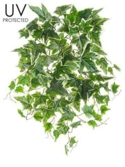 19″ UV Protected Ivy Bush Green Cream