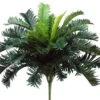 25″ Cycas Palm BusH X 35