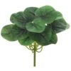 8″ Peperomia Bush Green