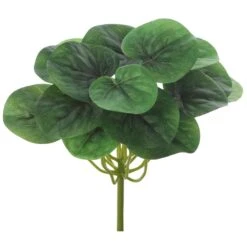 8″ Peperomia Bush Green