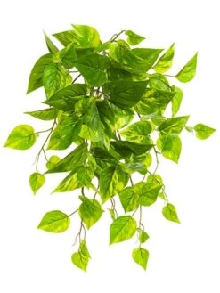 19″ UV Protected PVC Pothos Leaf BusH X 30 Green White