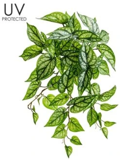 18″ UV Protected PVC Peperomia Leaf BusH X 9 Two Tone Green