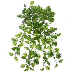 15″ Mini Pothos Leaf Hanging Bush Green Variegated