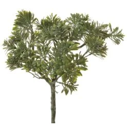 10″ Podocarpus Bush Green Gray