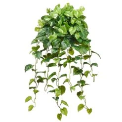 36″ Real Touch Pothos Hanging Bush X12 Green