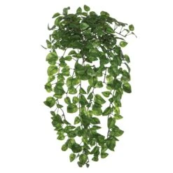 23″ Mini Philodendron LeafHanging BushGreen