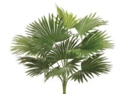 18″ Fan Palm Bush Green