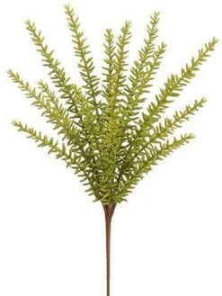 13″ Rosemary Bush Green