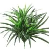 12″ Small Dracaena Bush with 93 Leaves Green