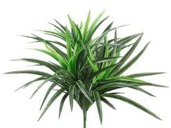 12″ Small Dracaena Bush with 93 Leaves Green