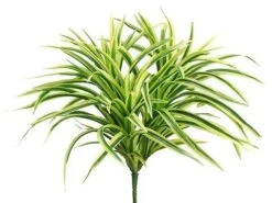 12″ Small Dracaena Bush with 93 Leaves Light Green