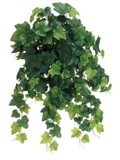 23″ Instant Open Rounded English Ivy Hanging Bush X19 Green
