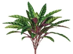 18.5″ Peacock Bush X5 W/36 Leaves Green