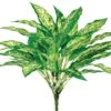 18.5″ Aglaonema Bush With 36LeavesGreen