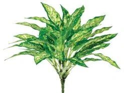 18.5″ Aglaonema Bush With 36LeavesGreen
