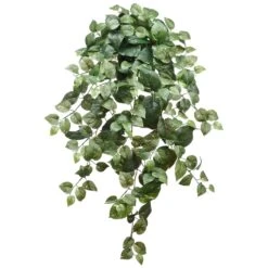 38″ Puff Pothos Hanging Bush x12 W/239 Leaves Green