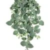 30″ Fittonia Hanging Bush X9 with 159 Leaves & Berry Green