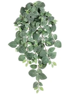 30″ Fittonia Hanging Bush X9 with 159 Leaves & Berry Green