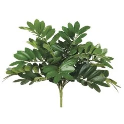 14″ Zamia Bush X13 Green