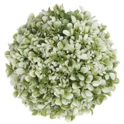7.5″ Boxwood Orb Green Cream