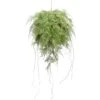24″ Fern Orb Green