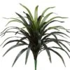 24″ Yucca Head With 44 Leaves Green Red