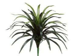 24″ Yucca Head With 44 Leaves Green Red
