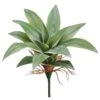 10″ Dracaena Pick Variegated