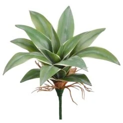 10″ Dracaena Pick Variegated