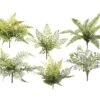 12″ Fern Pick Assortment (6 ea/set) Green Gray