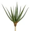 21″ Agave Green