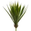 15″H X 8″D Spiky Aloe Plant Green
