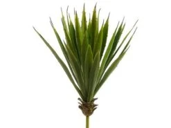 15″H X 8″D Spiky Aloe Plant Green