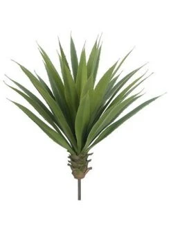 22″H X 22″D Agave Plant Green
