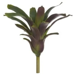 16″ Bromeliad Plant Green Purple