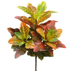 23″ Croton Plant X3 With 48 Leaves Yellow Mauve
