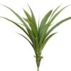 26″ Dracaena Plant Green