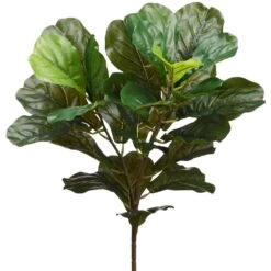 23″ Fiddle Leaf Plant With 27 Leaves Green