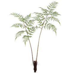 45″ Forest Fern Plant Green