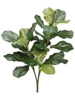 27″ Fiddle Leaf Plant X3 With 28 Leaves Green