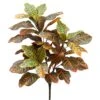 26″ Croton Plant With 28 Leaves Varigated Green