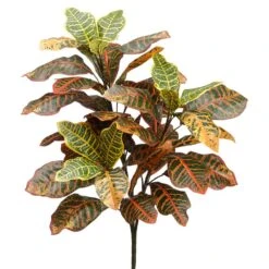 26″ Croton Plant With 28 Leaves Varigated Green