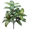 27″ Dieffenbachia Plant With 28 Leaves Green Cream