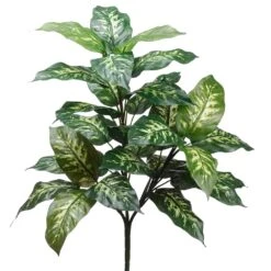 27″ Dieffenbachia Plant With 28 Leaves Green Cream