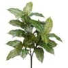 28″ Acuba Plant With 28 Leaves Green Cream
